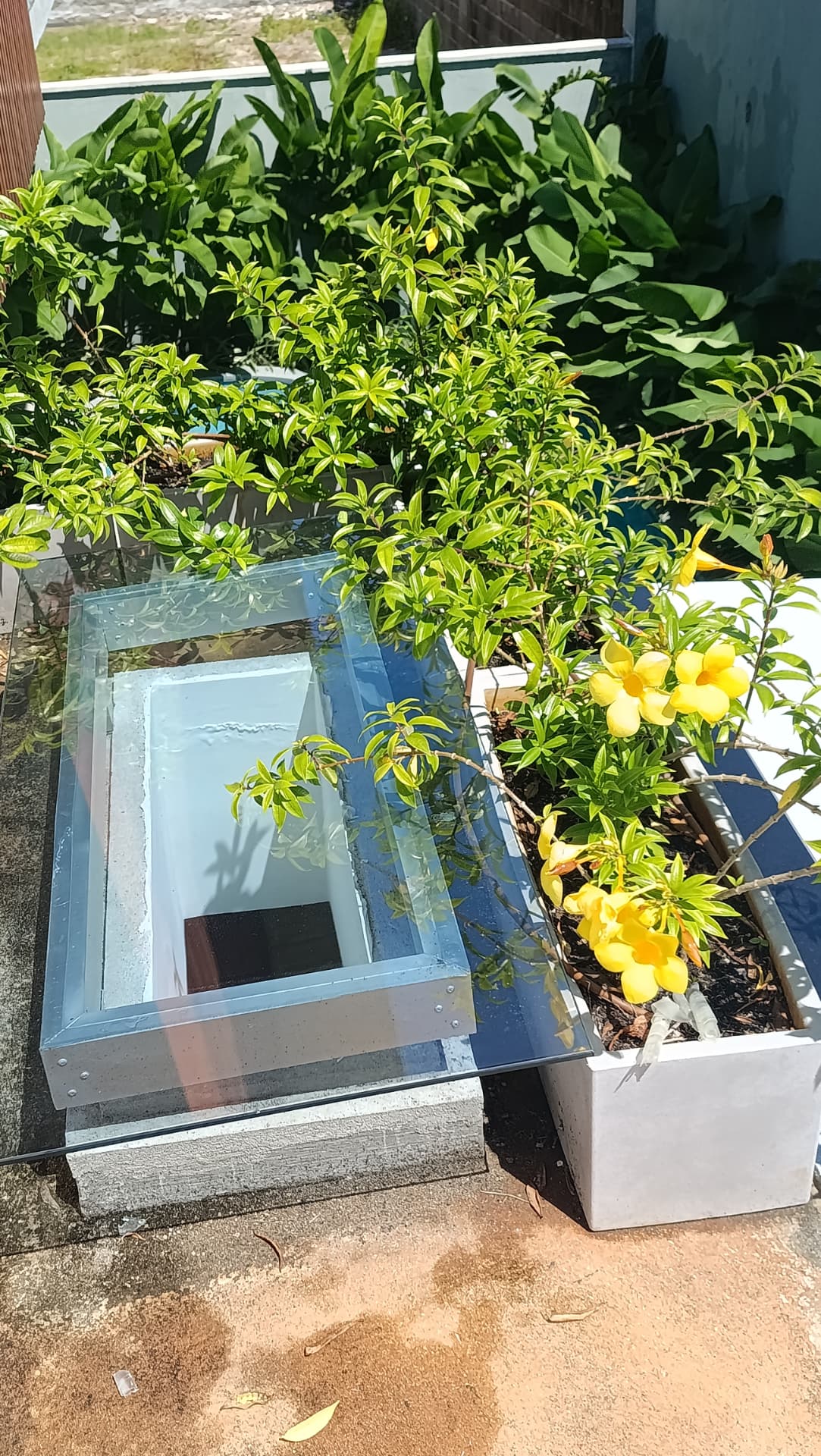 Claraboia menor de vidro tratada com película solar junto ao jardim da cobertura