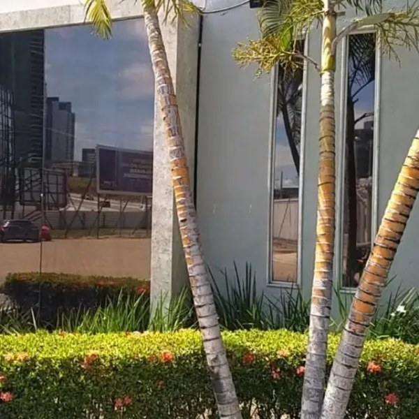 Fachada de empresa com película bronze refletiva nos vidros